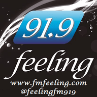 Logo de Feeling FM 91.9