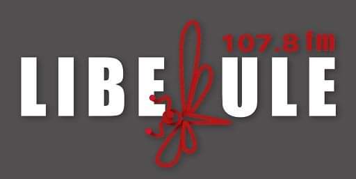 Logo de Libellule FM