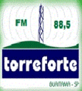 Logo de Torre Forte