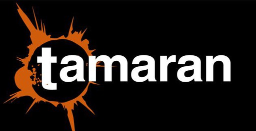 Logo de Radio Tamaran FM 91.3