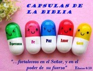 Logo de Capsulas de la Biblia