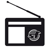 Logo de Radio StHörfunk
