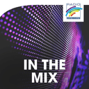 Logo de Radio Regenbogen - In The Mix