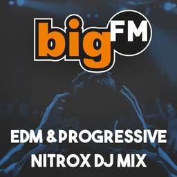 Logo de bigFM EDM & Progressive