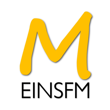 Logo de Meins FM