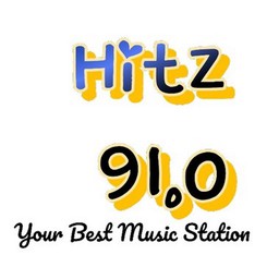 Logo de Hitz 91.0
