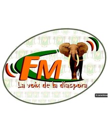 Logo de La voix de la diaspora