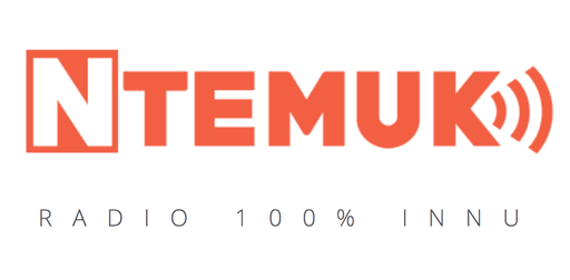 Logo de Ntemuk.com