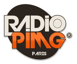 Logo de PIMG RADIO