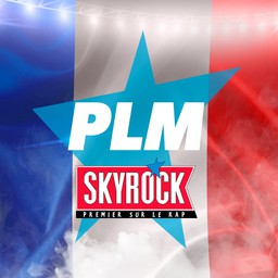 Logo de Skyrock PLM