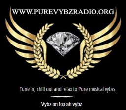 Logo de Pure Vybz Radio