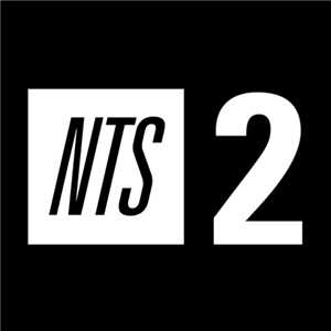 Logo de NTS Radio 2
