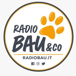 Logo de Radio Bau & Co