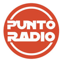 Logo de PUNTO RADIO FM