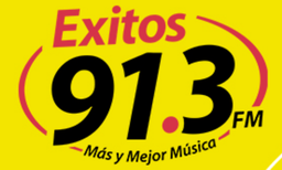 Logo de Exitos 91.3 FM