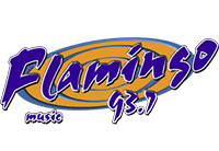 Logo de Flamingo Stereo