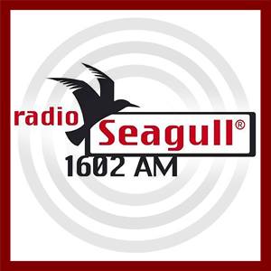 Logo de Radio Seagull