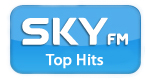 Logo de Sky Top Hits
