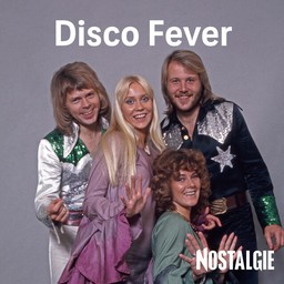 Logo de NOSTALGIE DISCO FEVER