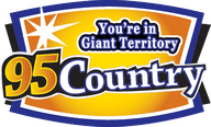 Logo de WQNZ Country 95.1 FM