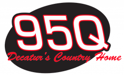 Logo de WDZQ 95Q