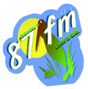 Logo de Rádio 87 FM Guaramirim