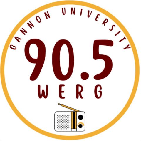 Logo de 90.5 WERG