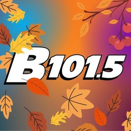 Logo de WBQB B101.5 FM