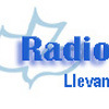 Logo de Radio Promesa de vida