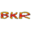 Logo de BKR Radio