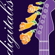 Logo de SomaFM - Digitalis