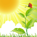 Logo de Sky.FM - Nature