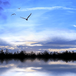 Logo de Sky.FM - Relaxing Excursions