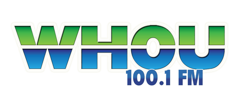 Logo de WWG20 NOAA Weather Radio 162.45 Fernley, NV