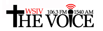 Logo de WSIV The Voice 1540