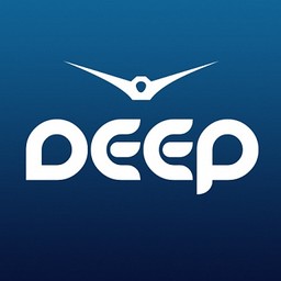 Logo de Рекорд Deep (Record Deep)