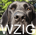 Logo de WZIG 104.1 FM
