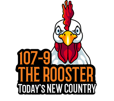 Logo de WDWS 107.9 FM The Rooster