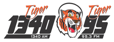 Logo de KIJV Tiger