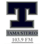 Logo de Tamá Stereo