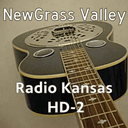 Logo de NewGrass Valley