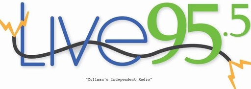 Logo de WRJM-LP Live 95 FM