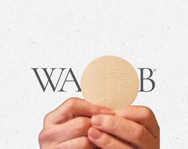 Logo de WAOB 860 AM