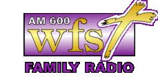 Logo de WFST