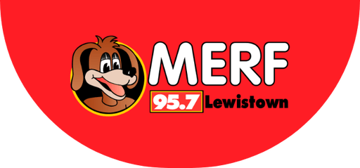 Logo de WMRF Merf Radio FM