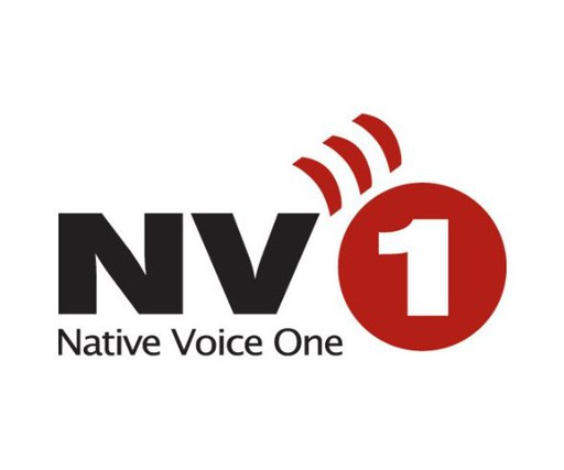 Logo de KNNB Native Voice One