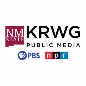 Logo de KRXG 91.3 FM