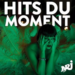 Logo de NRJ HITS DU MOMENT