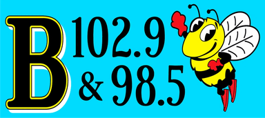 Logo de WBOO / WDLS B102.9 & 98.5