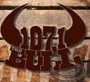 Logo de WFON 107.1 The Bull